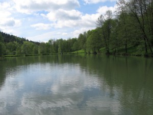klidná hladina rybníka Javorec